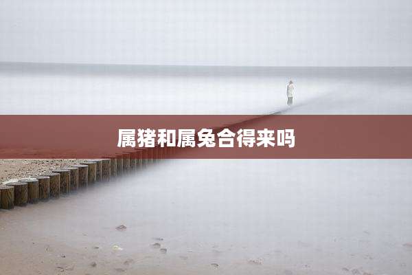 属猪和属兔合得来吗