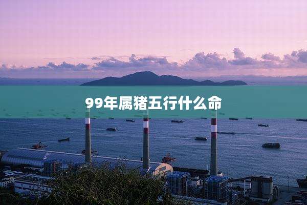 99年属猪五行什么命