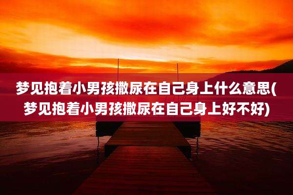 梦见抱着小男孩撒尿在自己身上什么意思(梦见抱着小男孩撒尿在自己身上好不好)