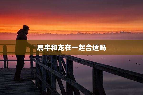 属牛和龙在一起合适吗