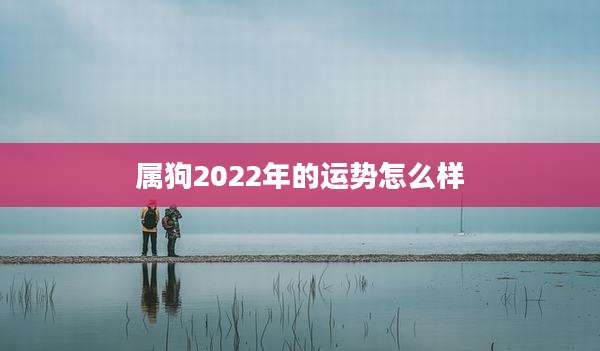 属狗2022年的运势怎么样
