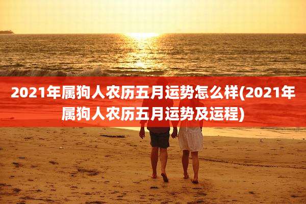 2021年属狗人农历五月运势怎么样(2021年属狗人农历五月运势及运程)