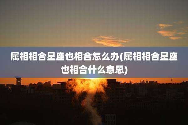 属相相合星座也相合怎么办(属相相合星座也相合什么意思)