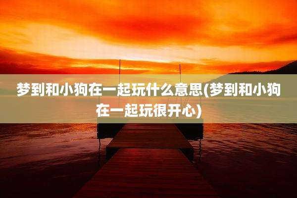 梦到和小狗在一起玩什么意思(梦到和小狗在一起玩很开心)