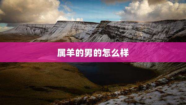 属羊的男的怎么样