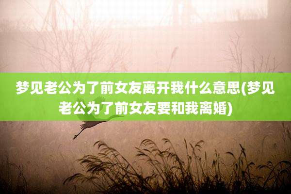 梦见老公为了前女友离开我什么意思(梦见老公为了前女友要和我离婚)