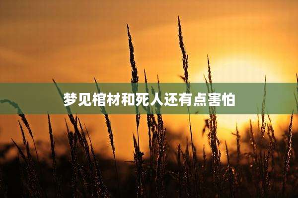 梦见棺材和死人还有点害怕