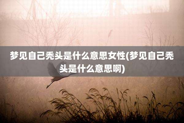 梦见自己秃头是什么意思女性(梦见自己秃头是什么意思啊)