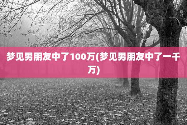 梦见男朋友中了100万(梦见男朋友中了一千万)