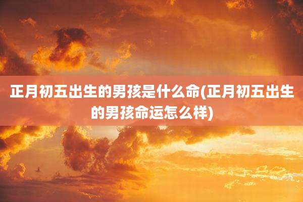 正月初五出生的男孩是什么命(正月初五出生的男孩命运怎么样)