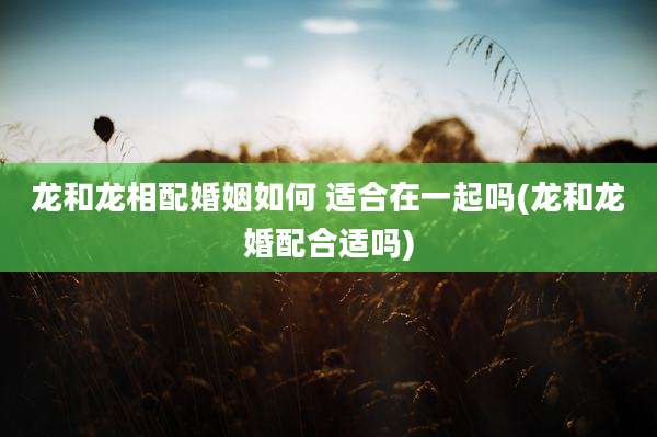 龙和龙相配婚姻如何 适合在一起吗(龙和龙婚配合适吗)