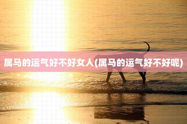 属马的运气好不好女人(属马的运气好不好呢)