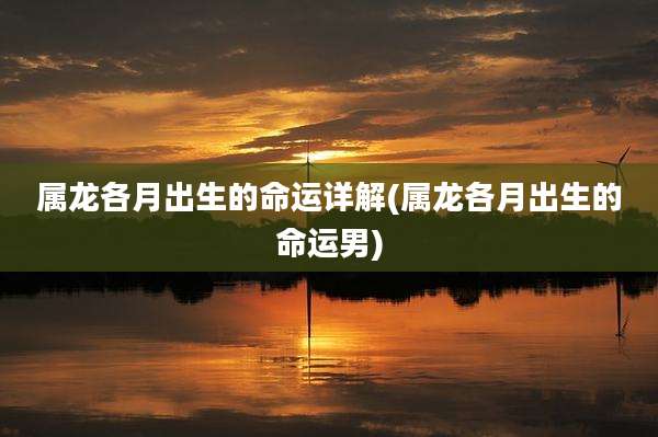 属龙各月出生的命运详解(属龙各月出生的命运男)