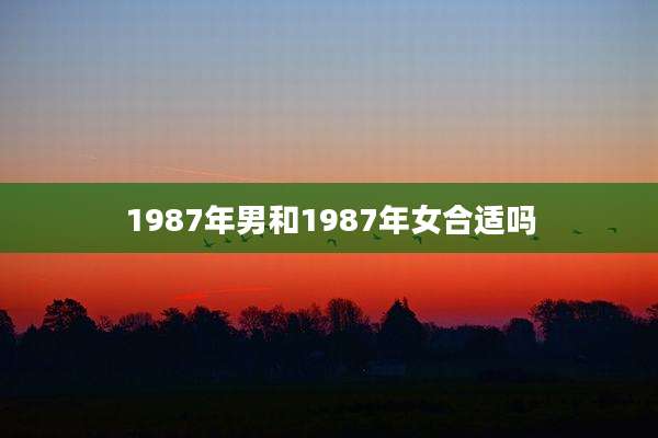 1987年男和1987年女合适吗