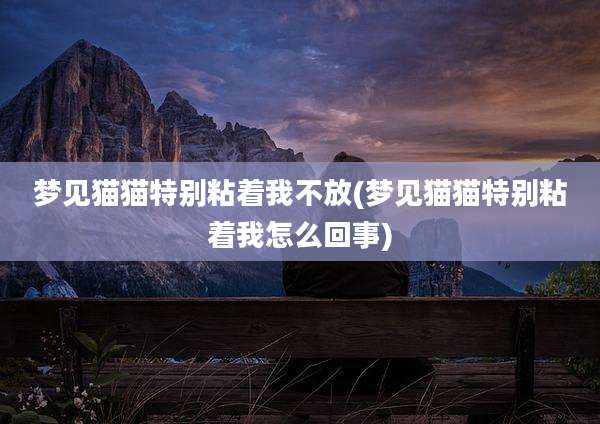 梦见猫猫特别粘着我不放(梦见猫猫特别粘着我怎么回事)