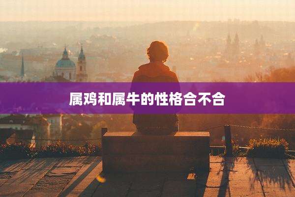 属鸡和属牛的性格合不合