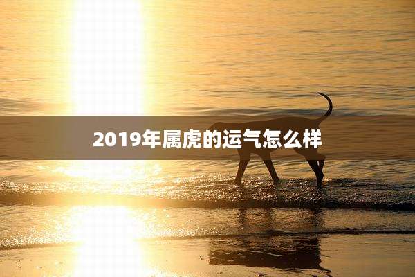 2019年属虎的运气怎么样