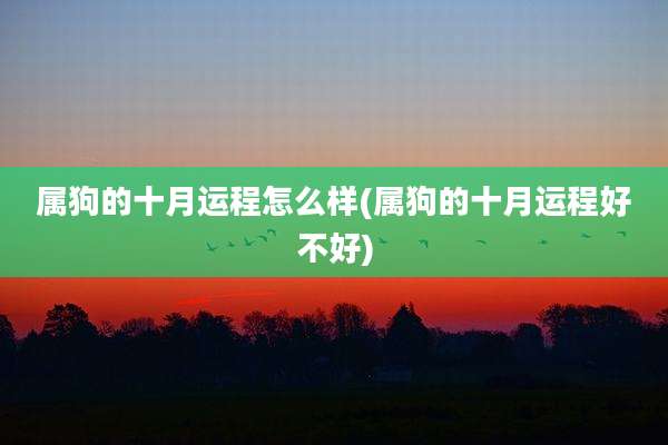 属狗的十月运程怎么样(属狗的十月运程好不好)