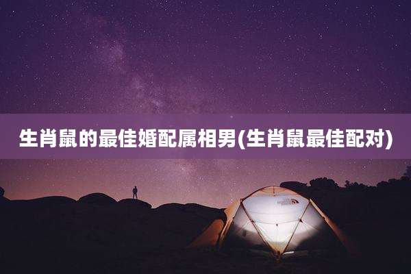 生肖鼠的最佳婚配属相男(生肖鼠最佳配对)