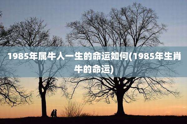 1985年属牛人一生的命运如何(1985年生肖牛的命运)