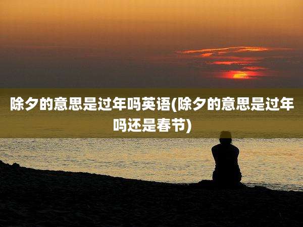 除夕的意思是过年吗英语(除夕的意思是过年吗还是春节)