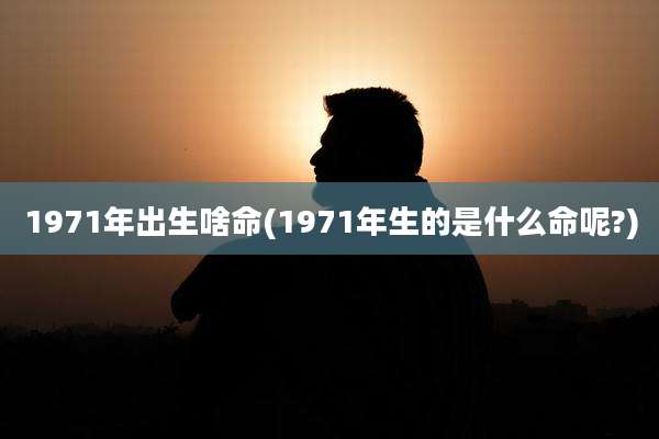 1971年出生啥命(1971年生的是什么命呢?)