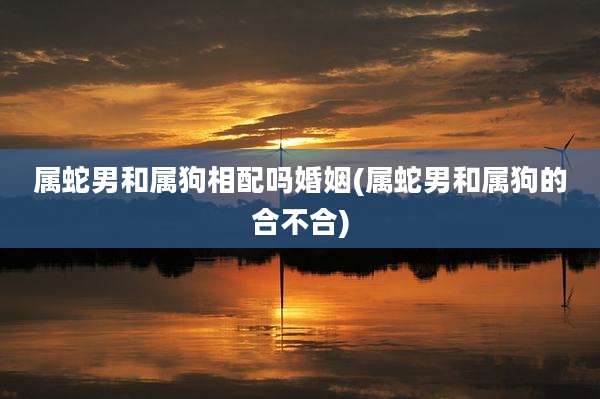 属蛇男和属狗相配吗婚姻(属蛇男和属狗的合不合)