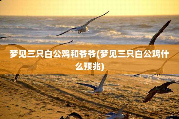 梦见三只白公鸡和爷爷(梦见三只白公鸡什么预兆)
