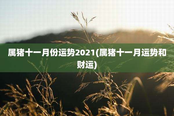 属猪十一月份运势2021(属猪十一月运势和财运)