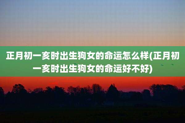 正月初一亥时出生狗女的命运怎么样(正月初一亥时出生狗女的命运好不好)