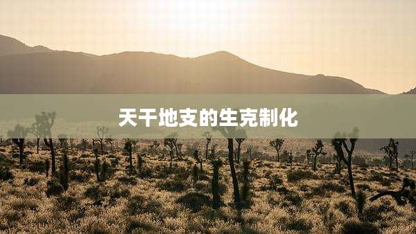天干地支的生克制化