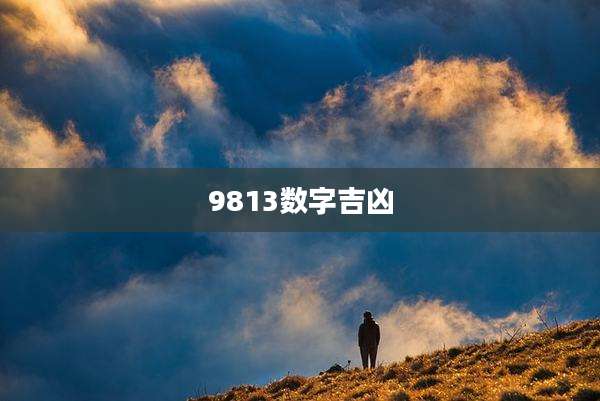 9813数字吉凶