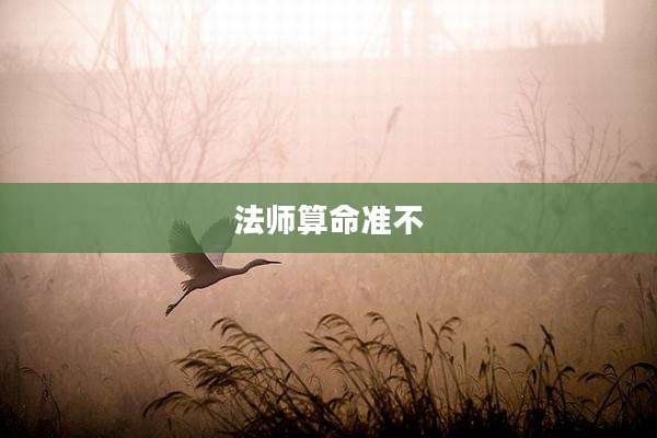 法师算命准不