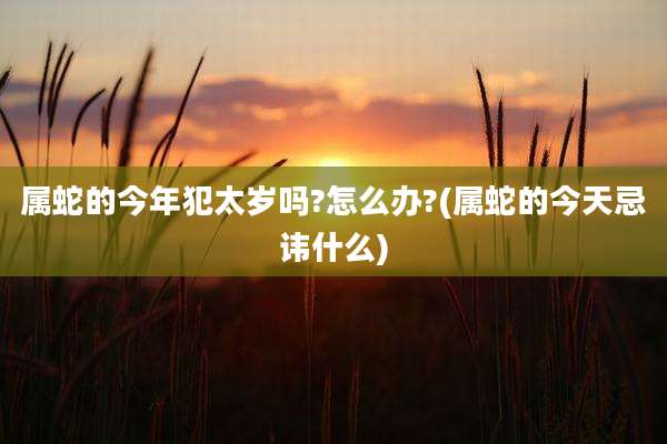 属蛇的今年犯太岁吗?怎么办?(属蛇的今天忌讳什么)