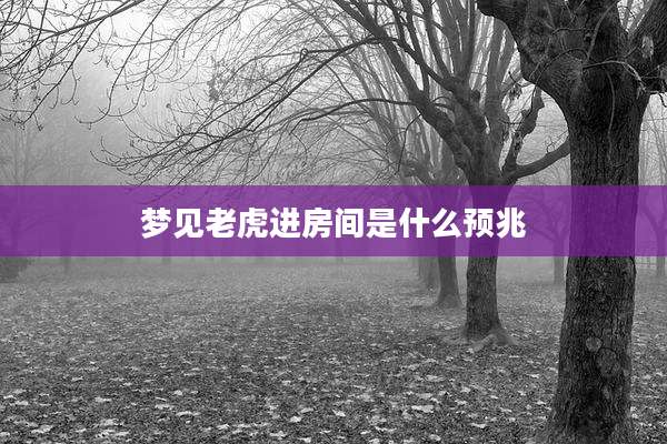 梦见老虎进房间是什么预兆