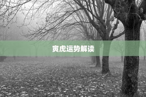 寅虎运势解读