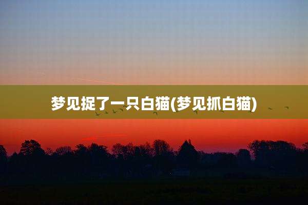 梦见捉了一只白猫(梦见抓白猫)