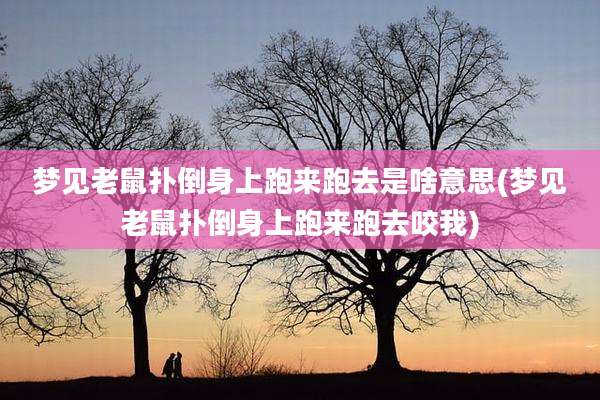 梦见老鼠扑倒身上跑来跑去是啥意思(梦见老鼠扑倒身上跑来跑去咬我)