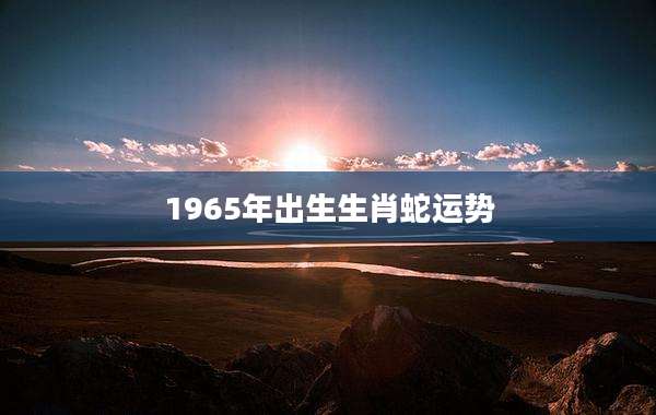 1965年出生生肖蛇运势