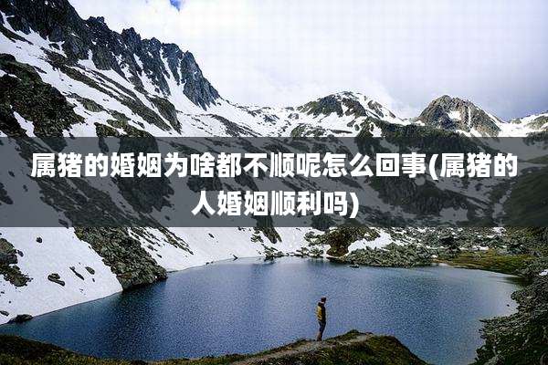 属猪的婚姻为啥都不顺呢怎么回事(属猪的人婚姻顺利吗)