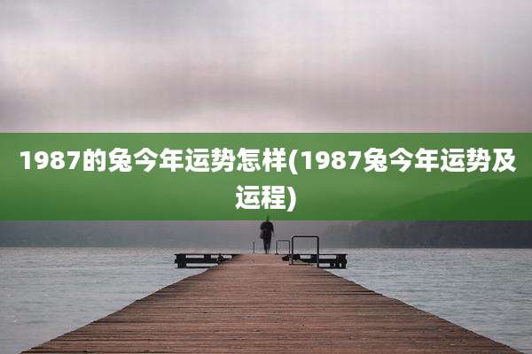 1987的兔今年运势怎样(1987兔今年运势及运程)