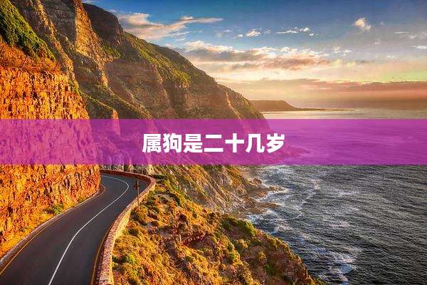 属狗是二十几岁