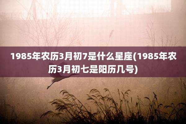 1985年农历3月初7是什么星座(1985年农历3月初七是阳历几号)