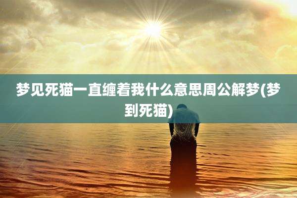 梦见死猫一直缠着我什么意思周公解梦(梦到死猫)