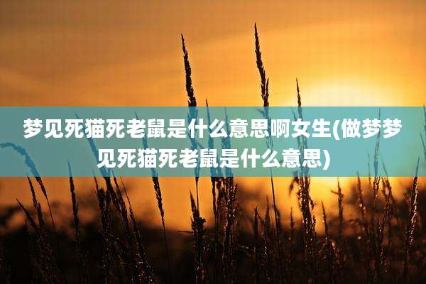 梦见死猫死老鼠是什么意思啊女生(做梦梦见死猫死老鼠是什么意思)
