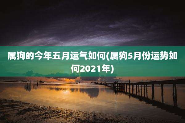 属狗的今年五月运气如何(属狗5月份运势如何2021年)