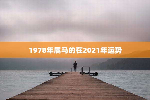 1978年属马的在2021年运势