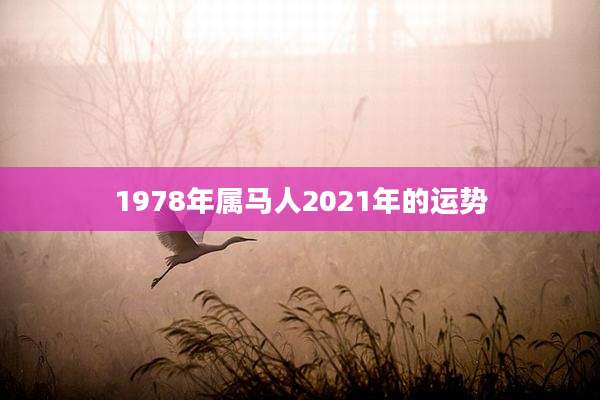 1978年属马人2021年的运势