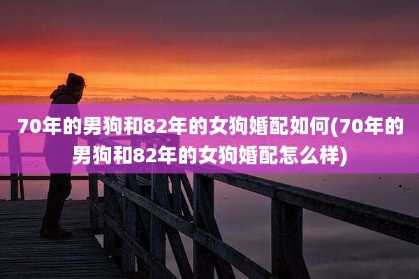 70年的男狗和82年的女狗婚配如何(70年的男狗和82年的女狗婚配怎么样)