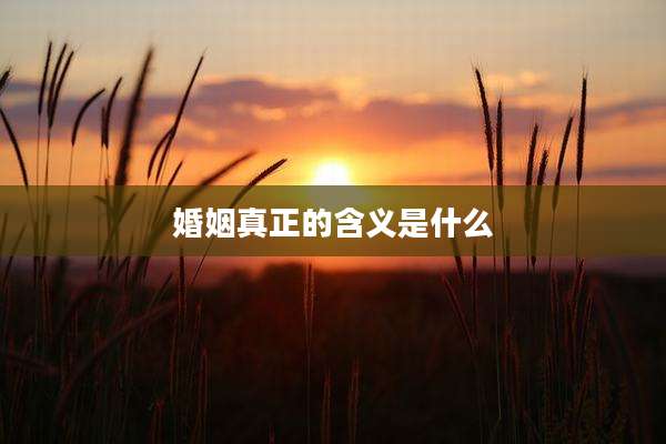 婚姻真正的含义是什么
